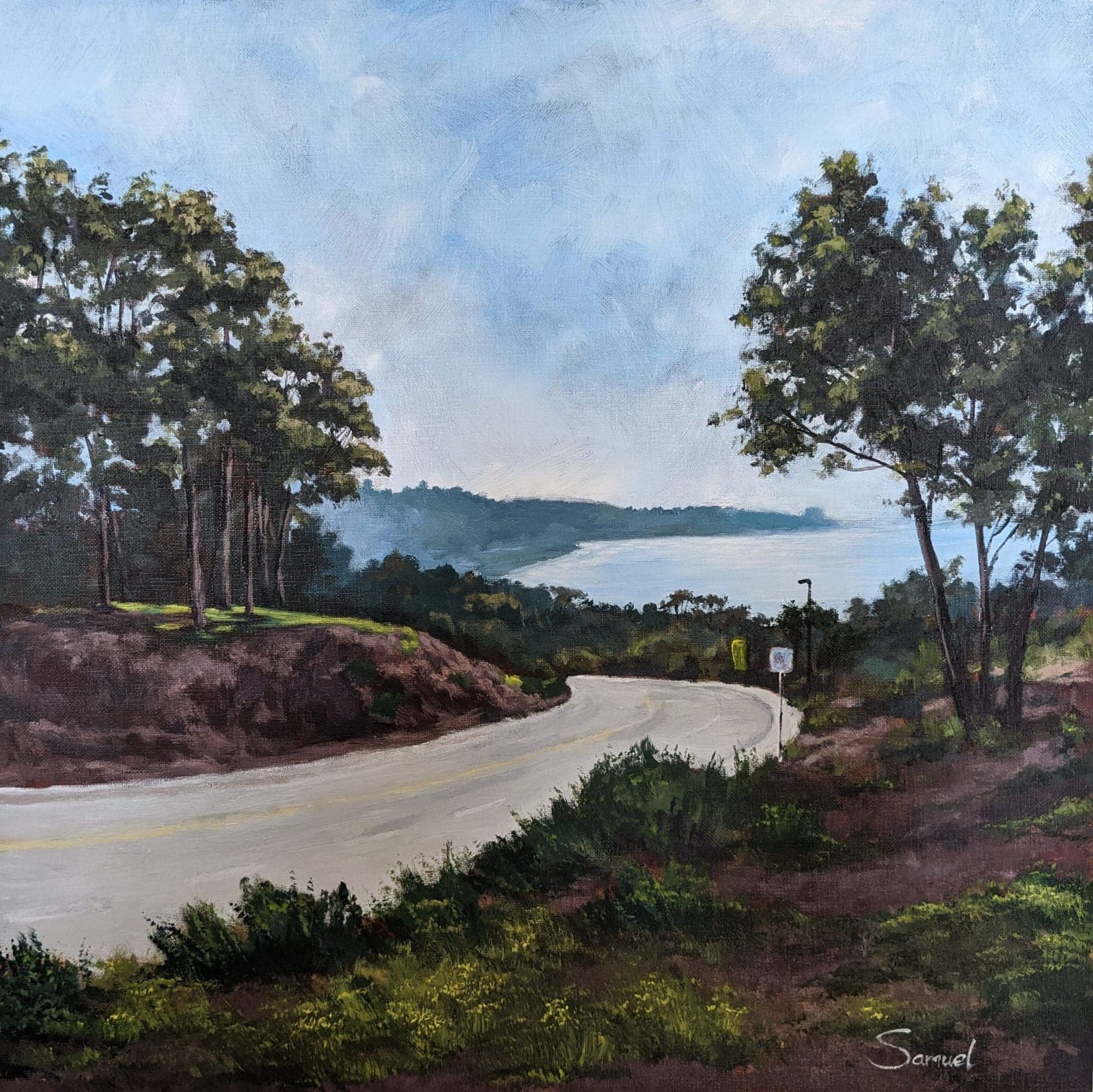 La Jolla drive with ocean view