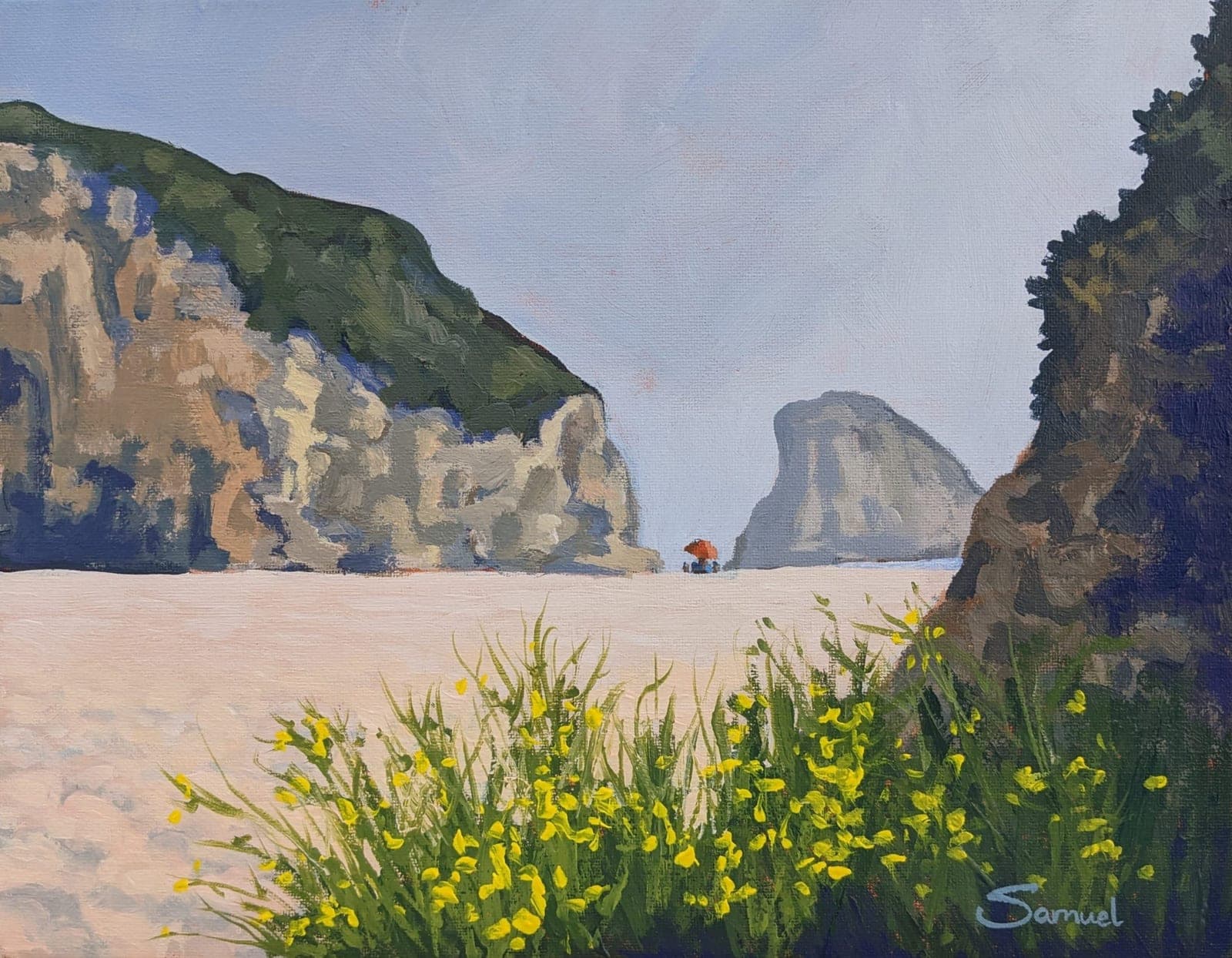 Shark Fin Rock, Santa Cruz, with a burst of yellow flowers