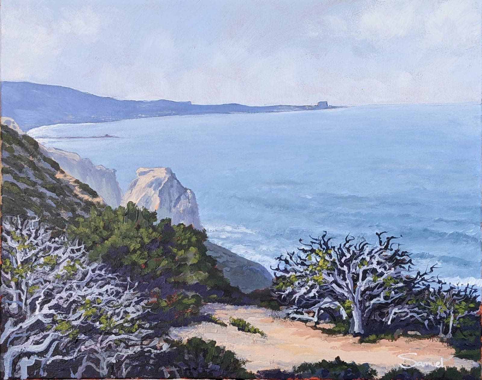 Breathtaking view of chaparral-covered rocky cliffs and La Jolla cove