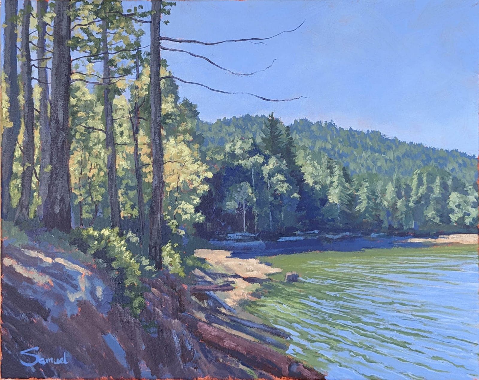 Fresh summer day by Redwoods and lake