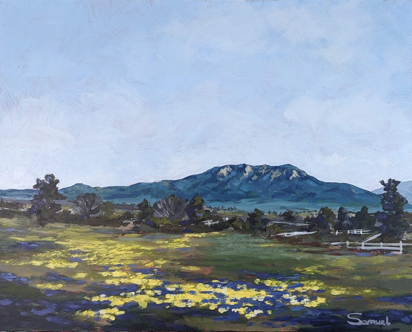 Majestic Cahuilla mountain and spring blossoms
