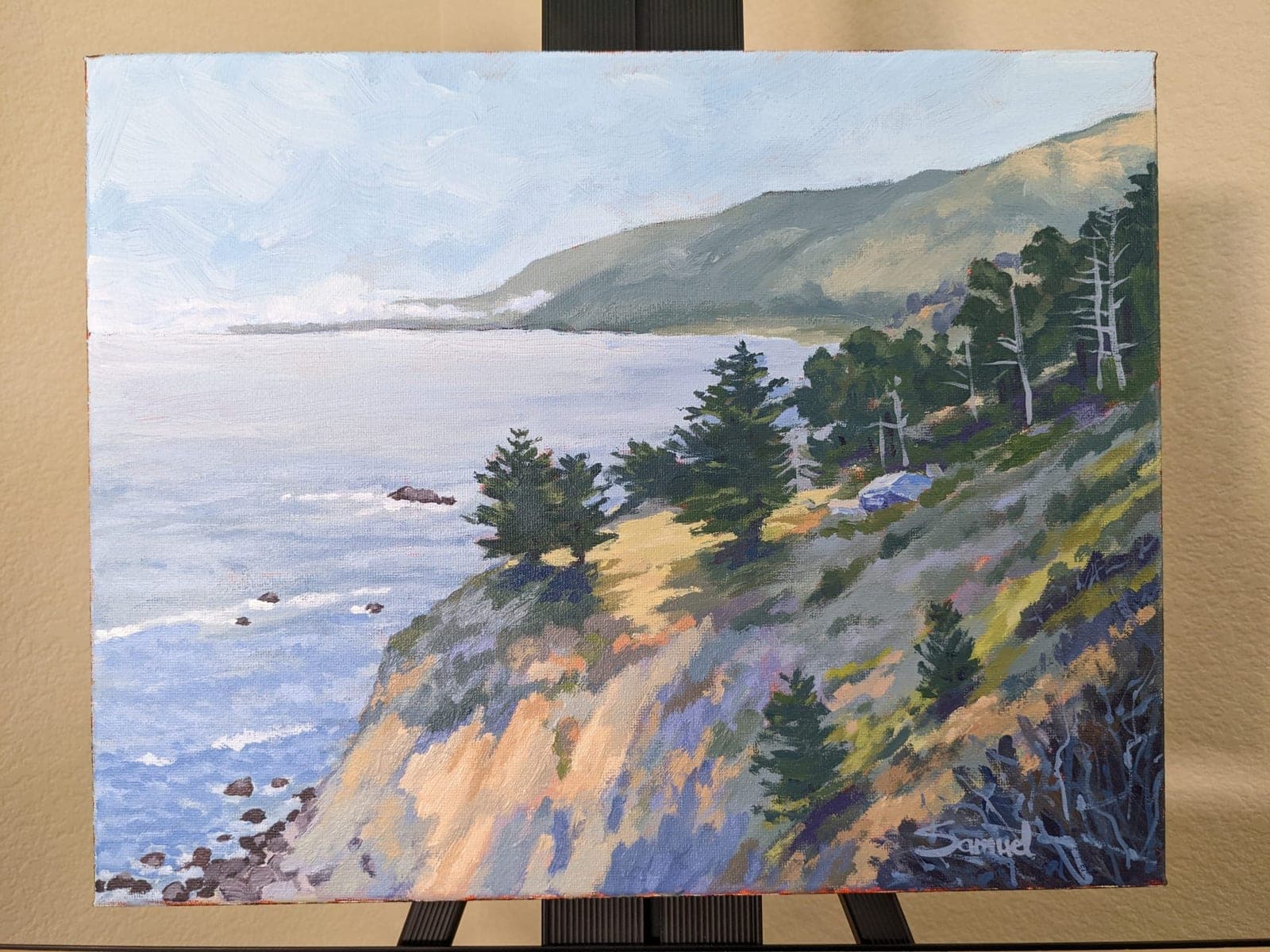 Pine covered cliffs along Highway 1
