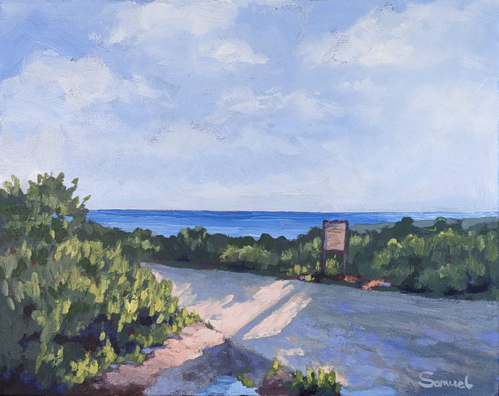 NMAC - Golden hour stroll in Crystal Cove cliffs . 16"x20" on canvas in Acrylic.