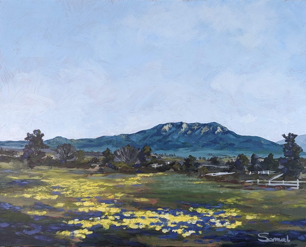PG6T - Majestic Cahuilla mountain and spring blossoms