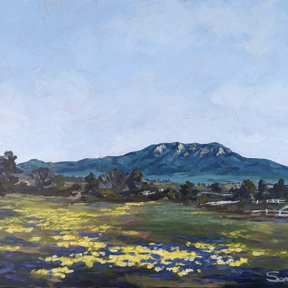 Majestic Cahuilla mountain and spring blossoms – PG6T